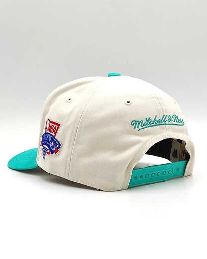 Mitchell And ness Vancouver Grizzlies '96 Draft' Pro Crown Snapback