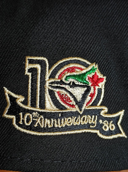 Toronto Blue Jays Curved 10th Season Side Patch New Era 9Forty A-Frame Snapback