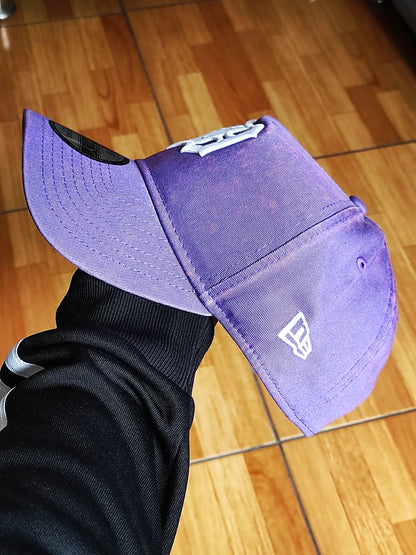 Detroit Tigers Purple 9FORTY A-Frame Snapback NEW era