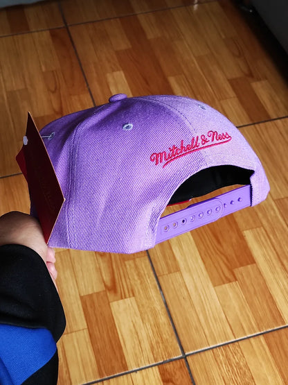 Toronto Raptors Mitchell & Ness NBA FRONT LOADED Snapback Hat- Purple