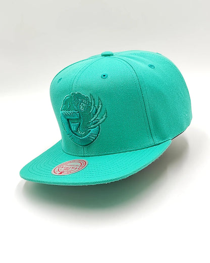 Mitchell & Ness Memphies Grizzlies Monochrome Original Fit Snapback teal