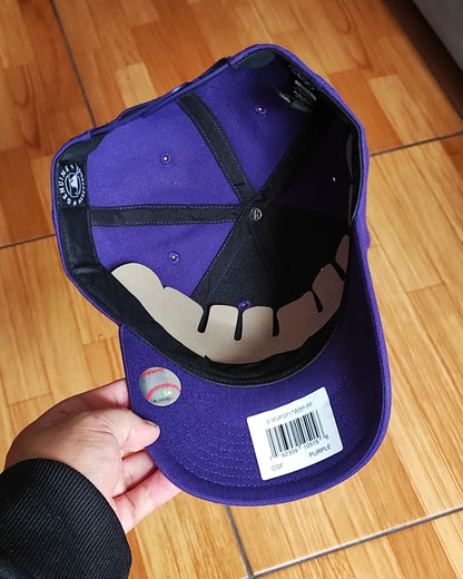 47brand New York yankees purple mvp Snapback